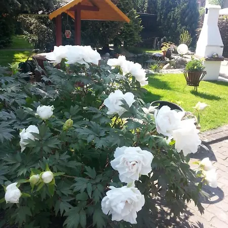 Apartment Dietze *